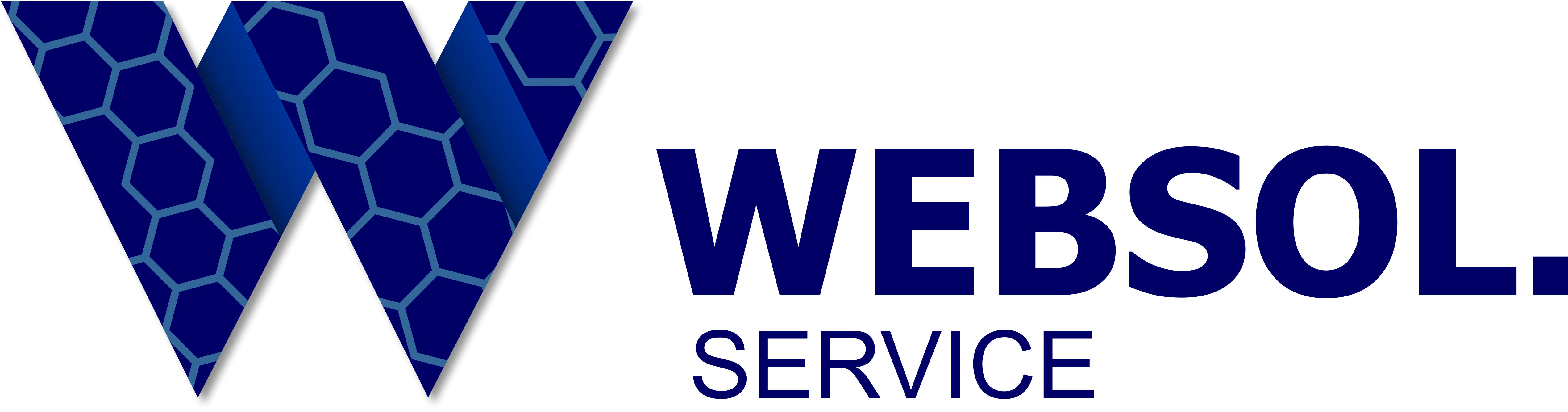 Websol logo 4